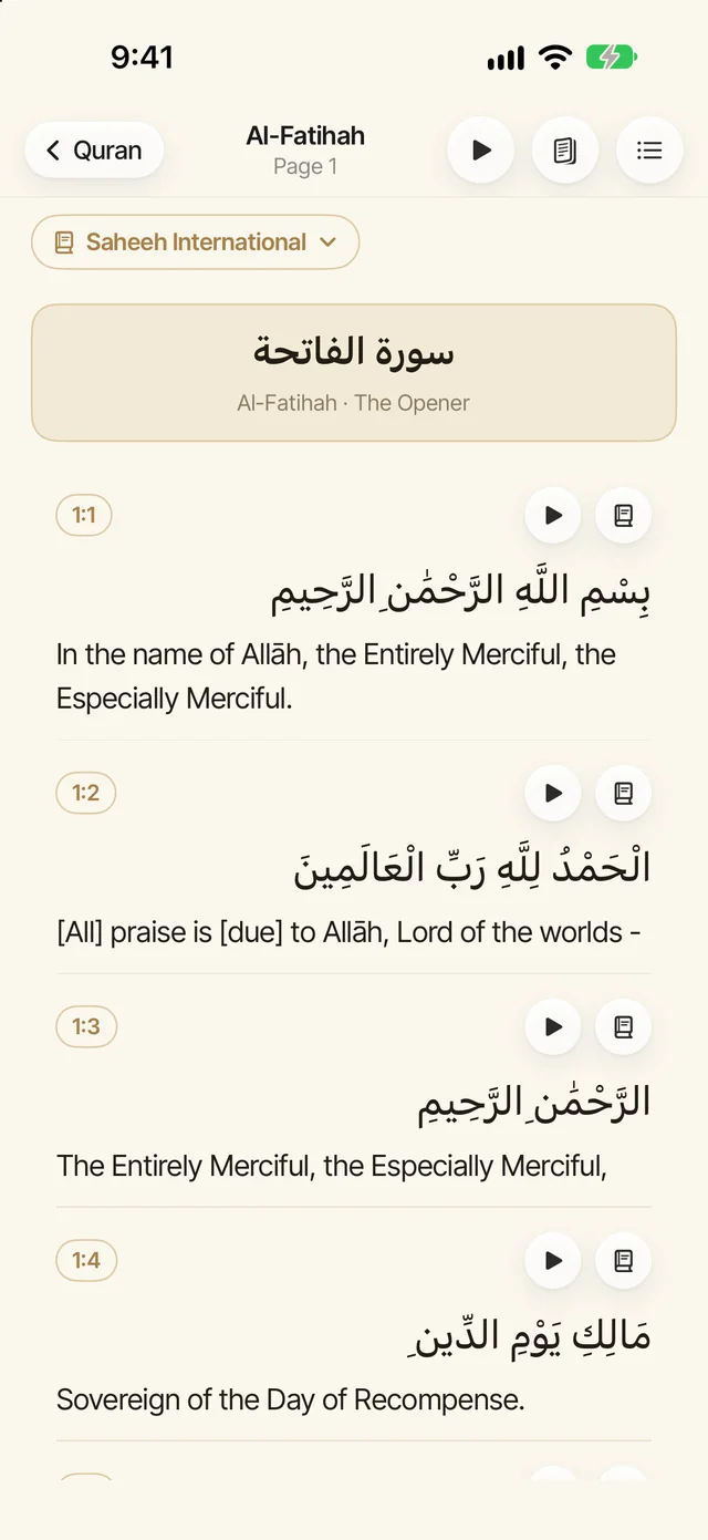 The translation view